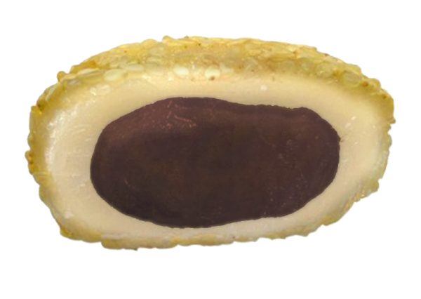 Pan Fried Sesame Coin Mochi